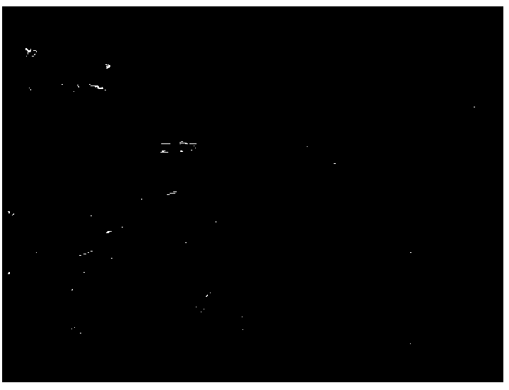 Quick construction preparation method of human epidermal tissues