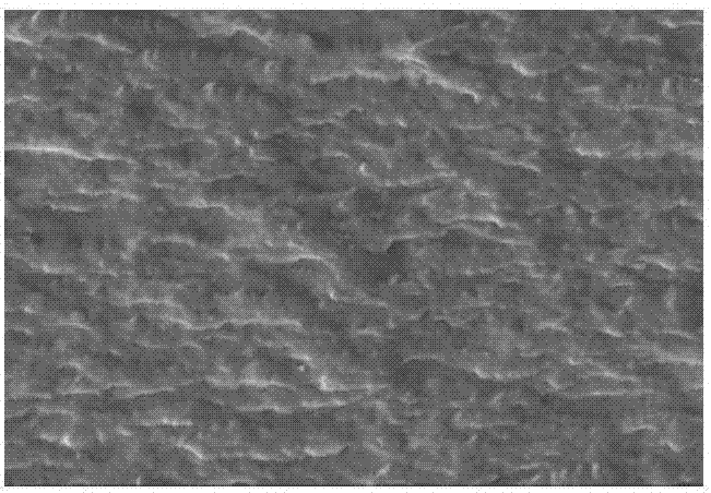 Preparation method for hydrophobic montmorillonite clay/isolated soy protein composite film