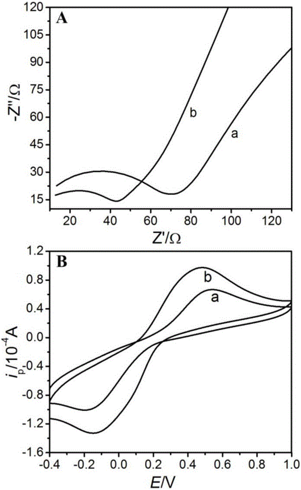 Chemically modified electrode for quantitative determination of folic acid and preparation method of electrochemical sensor