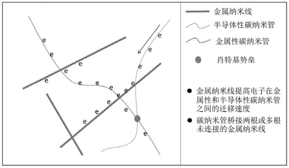 Flexible cnts/metal nanowire composite transparent conductive film, its preparation method and application