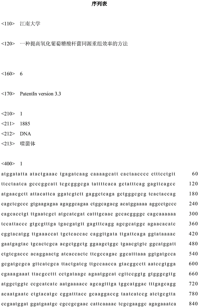 A method for improving the efficiency of homologous recombination in Gluconobacter oxidans