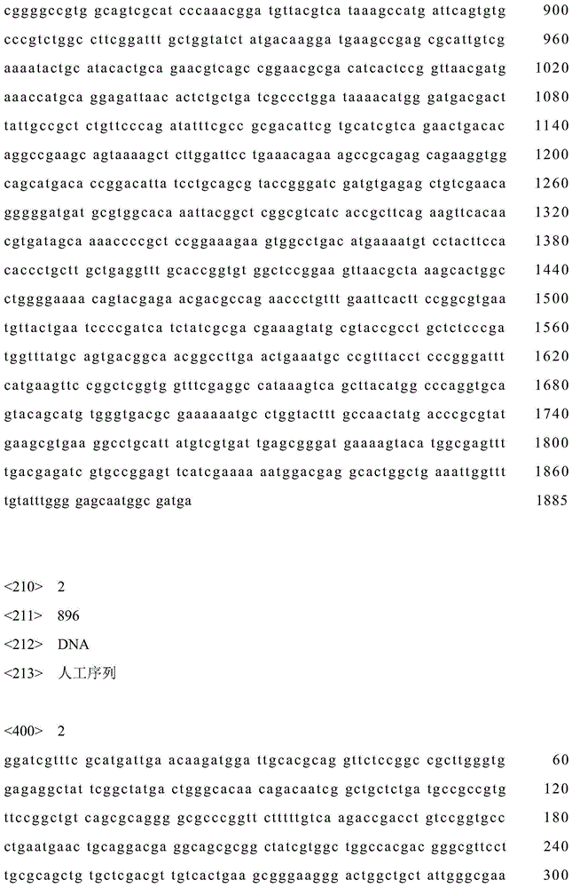 A method for improving the efficiency of homologous recombination in Gluconobacter oxidans