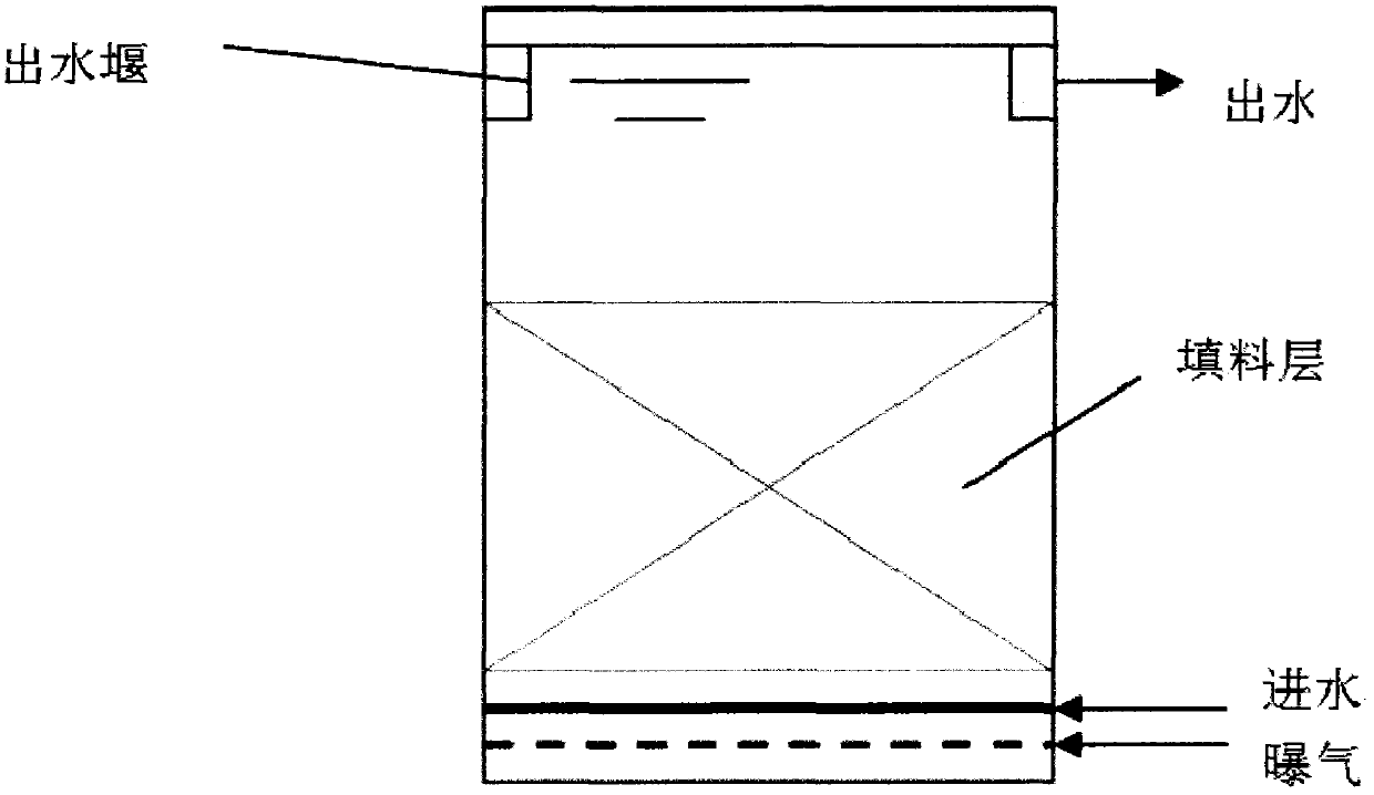 Method for reducing sludge in sewage treatment