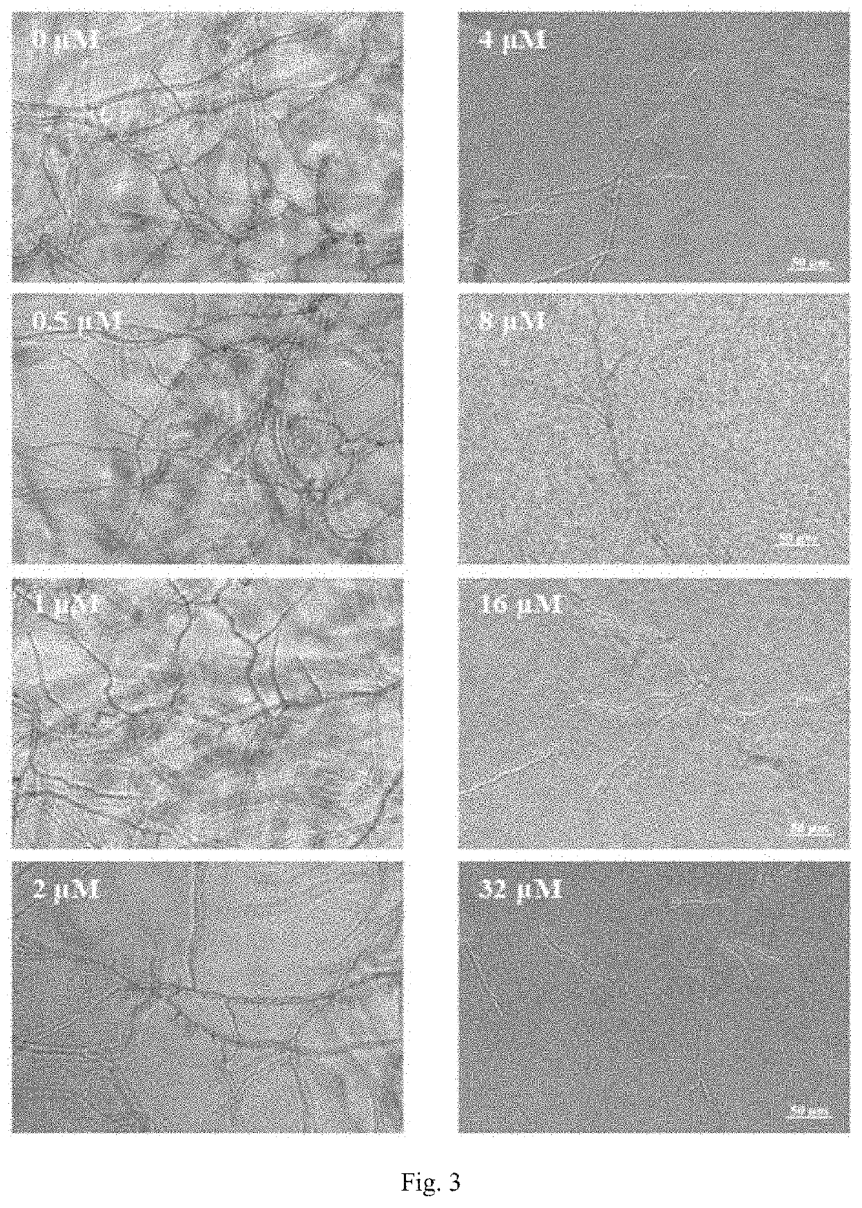 Antimicrobial peptide scyreprocin of scylla paramamosain and method thereof