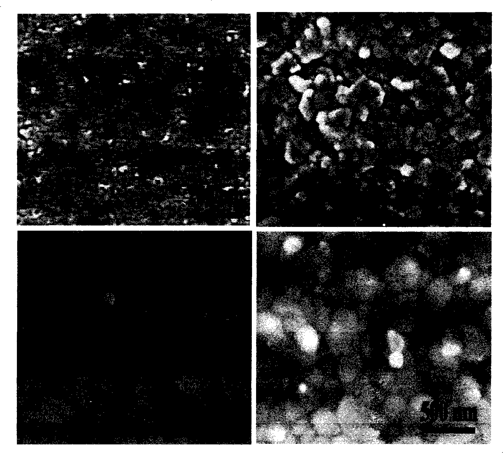 Lanthanum molybdate based solid electrolyte film material and preparation thereof