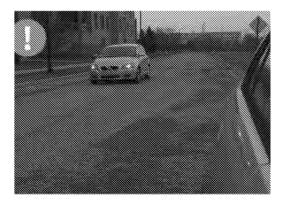 Vehicle vision system with blind zone display and alert system