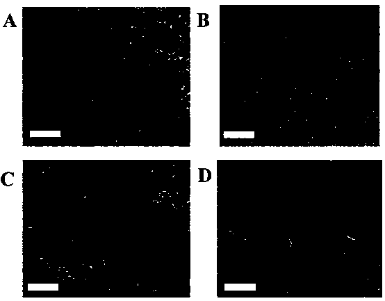 Aperture-controllable porous graphene nanometer material preparation method