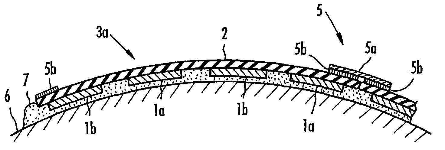 Ultrasonic irradiation apparatus