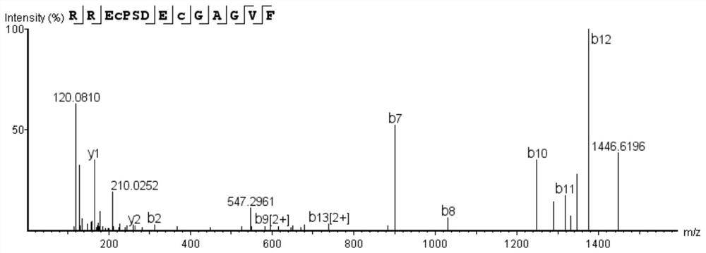 A kind of biologically active peptide rrecpsdecgagvf and its preparation method and application