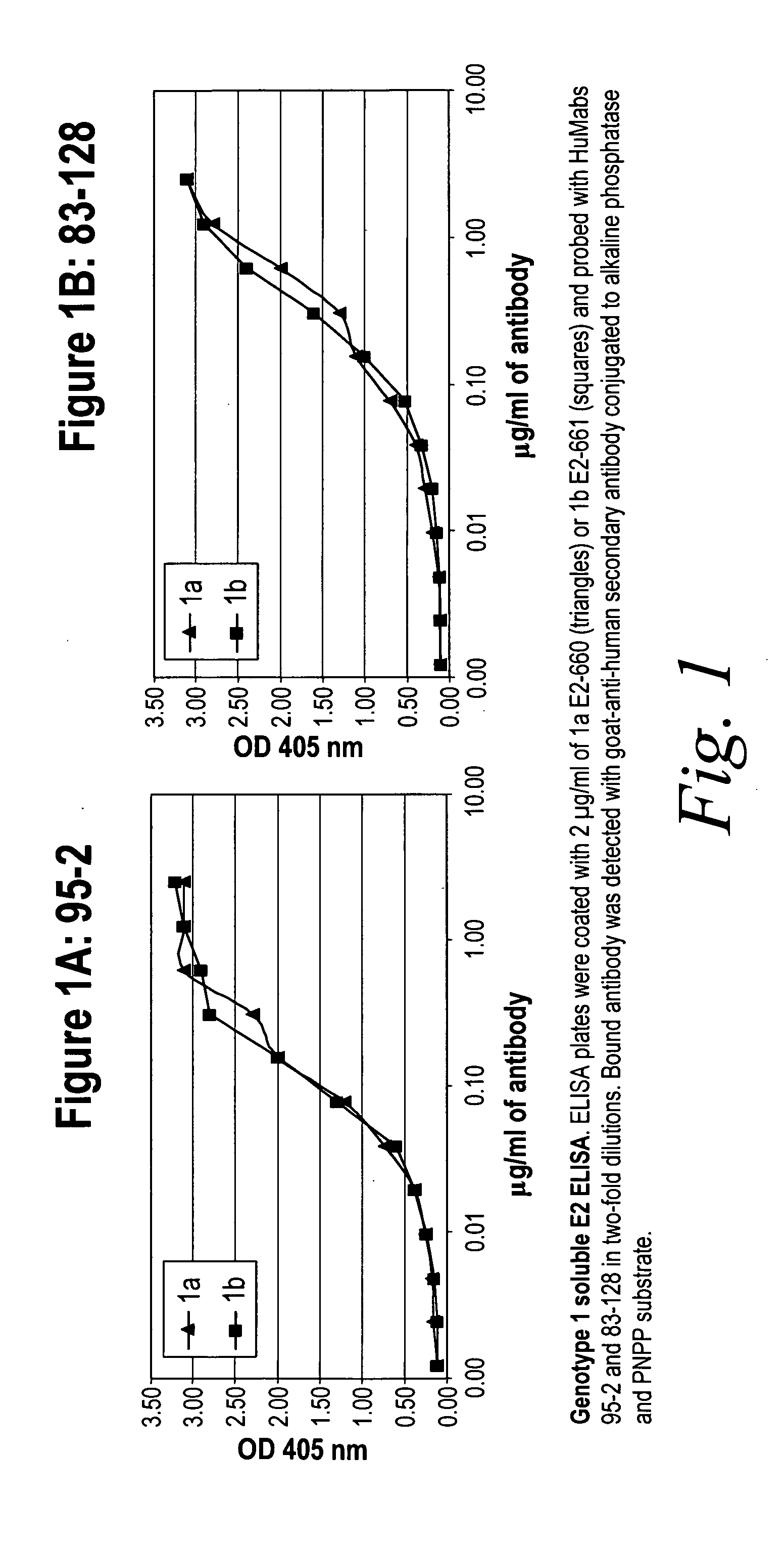 Human antibodies against hepatitis c virus (HCV) and uses thereof