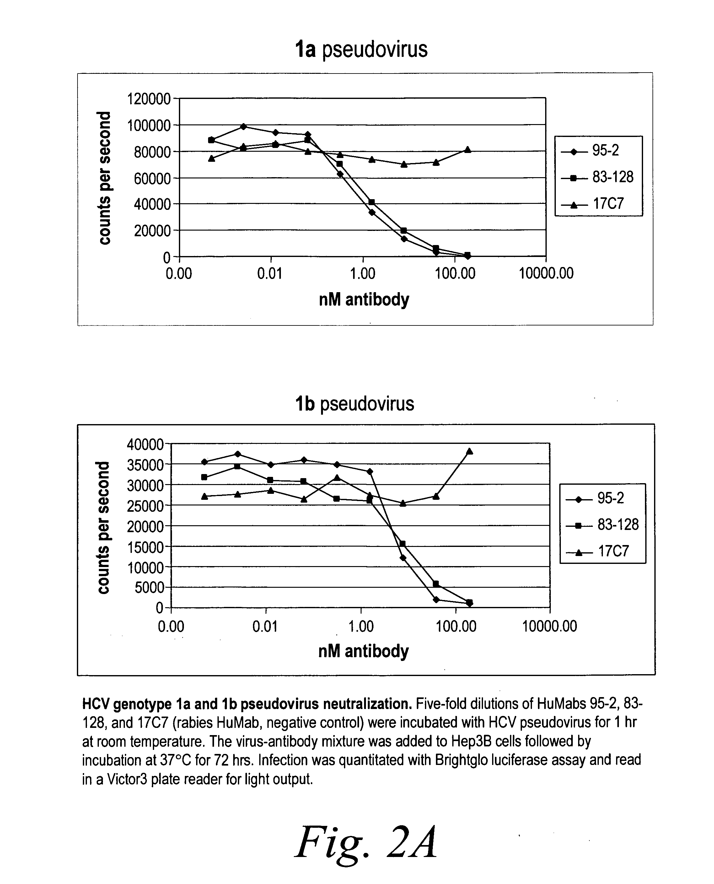 Human antibodies against hepatitis c virus (HCV) and uses thereof