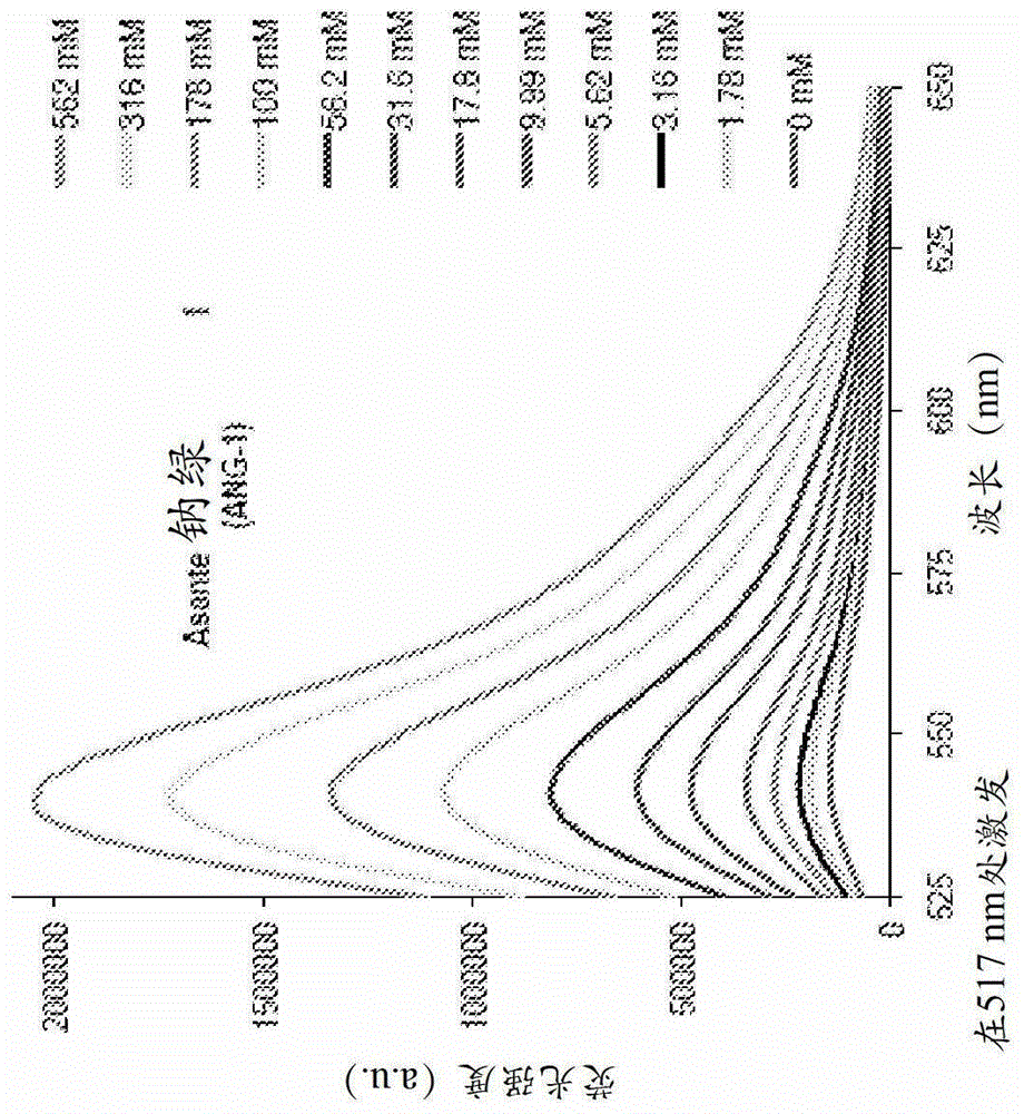 cytoplasmic fluorescent ion indicator