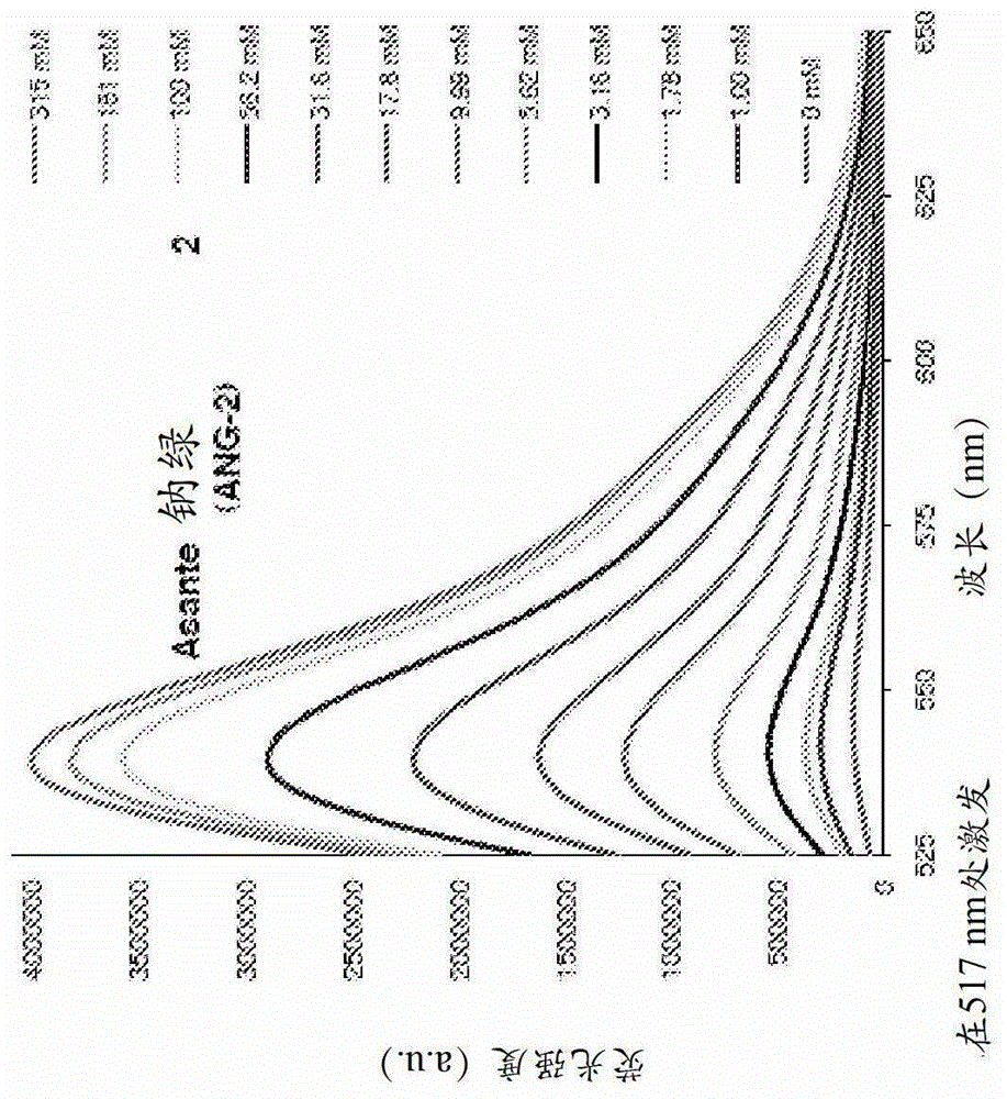 cytoplasmic fluorescent ion indicator