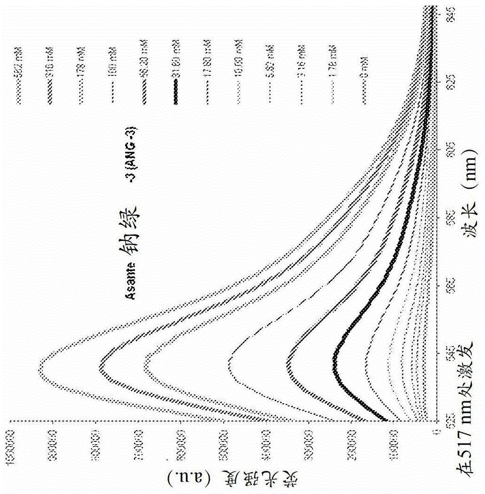 cytoplasmic fluorescent ion indicator