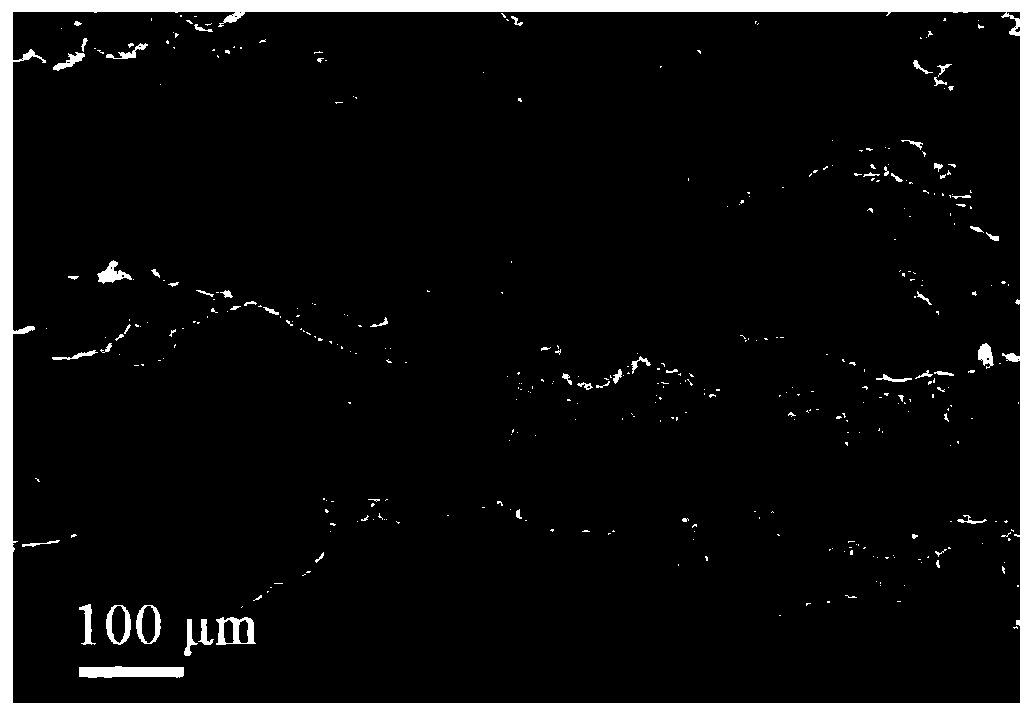 Zinc oxide/carbon composite photocatalyst and preparation method thereof