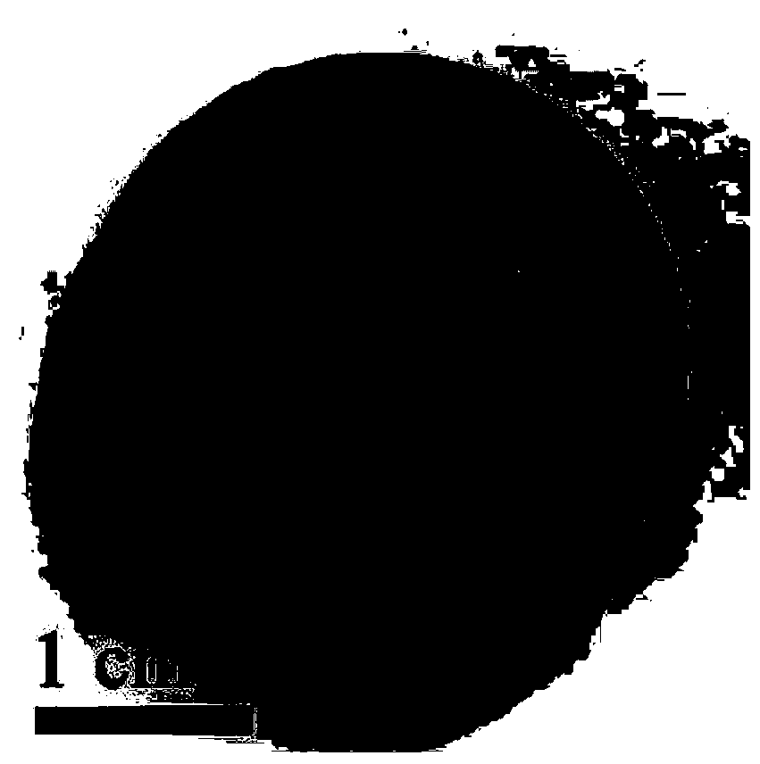 Zinc oxide/carbon composite photocatalyst and preparation method thereof