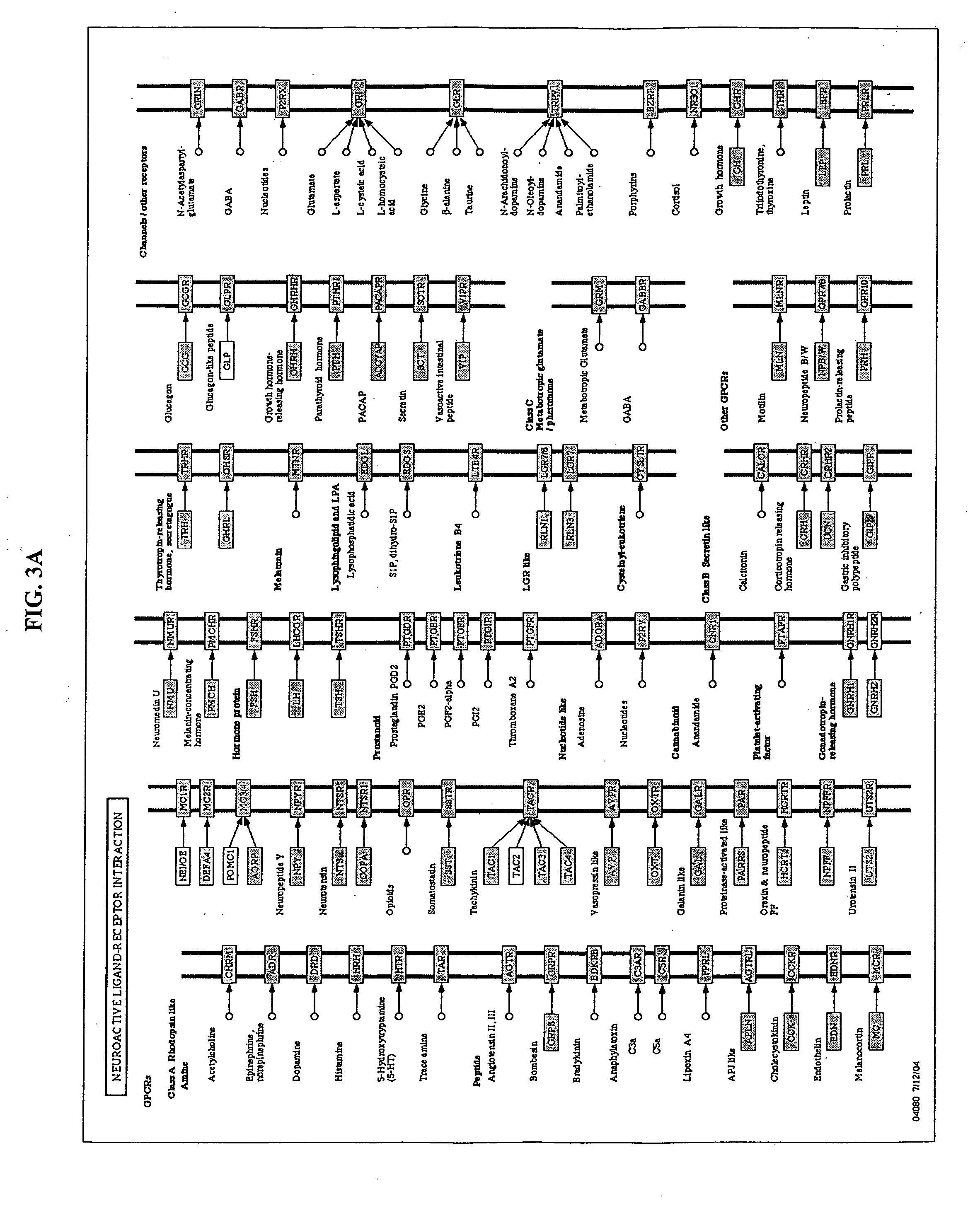 Diabetes-associated markers and methods of use thereof