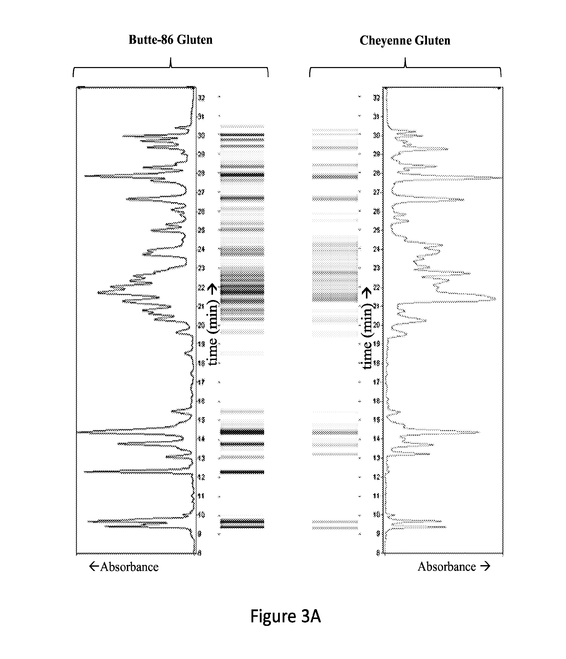 Wheat proteomic microarray for biomarker discovery