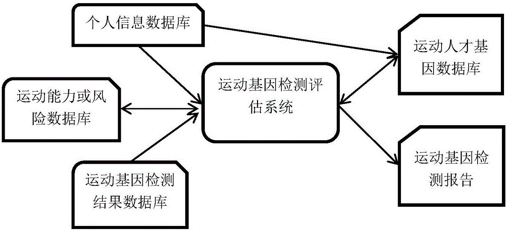 Athletic gene detection and evaluation method and system based on qPCR typing technology