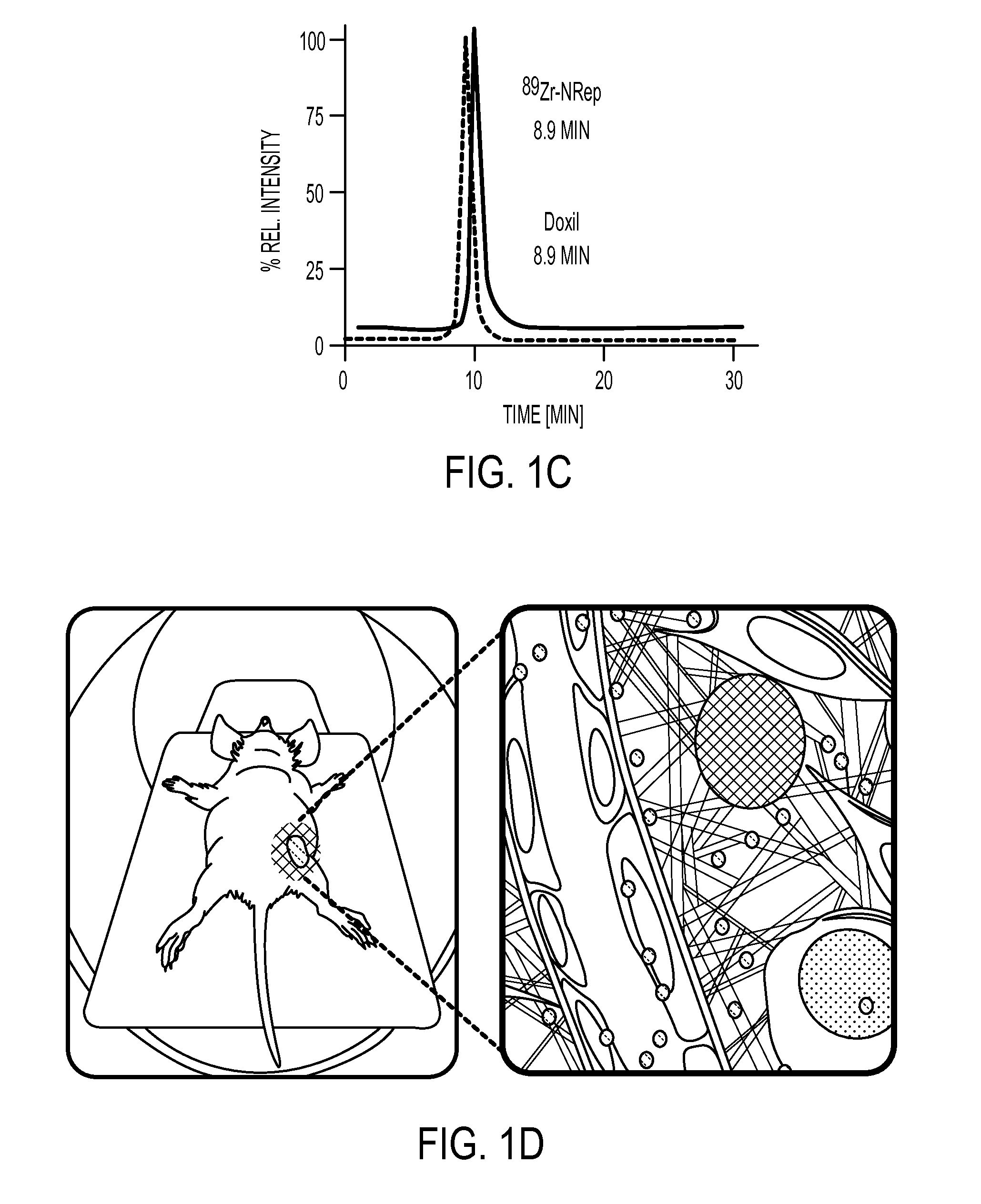 Bimodal fluorophore-labeled liposomes and associated methods and systems