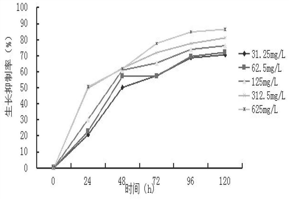 Application of viburnum sargentii extracting solution as microcystis aeruginosa inhibitor