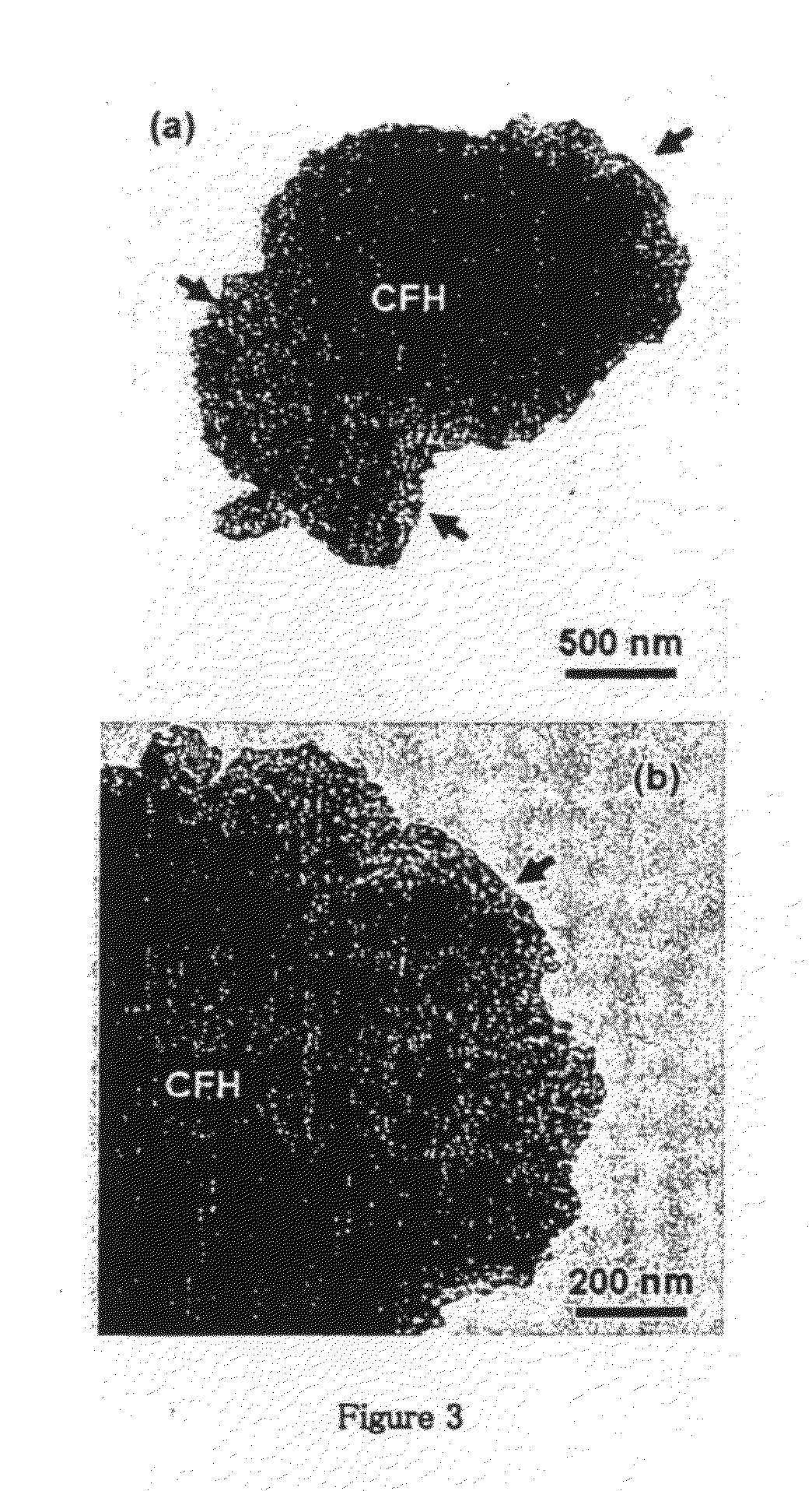 Magnetic dye-adsorbent catalyst