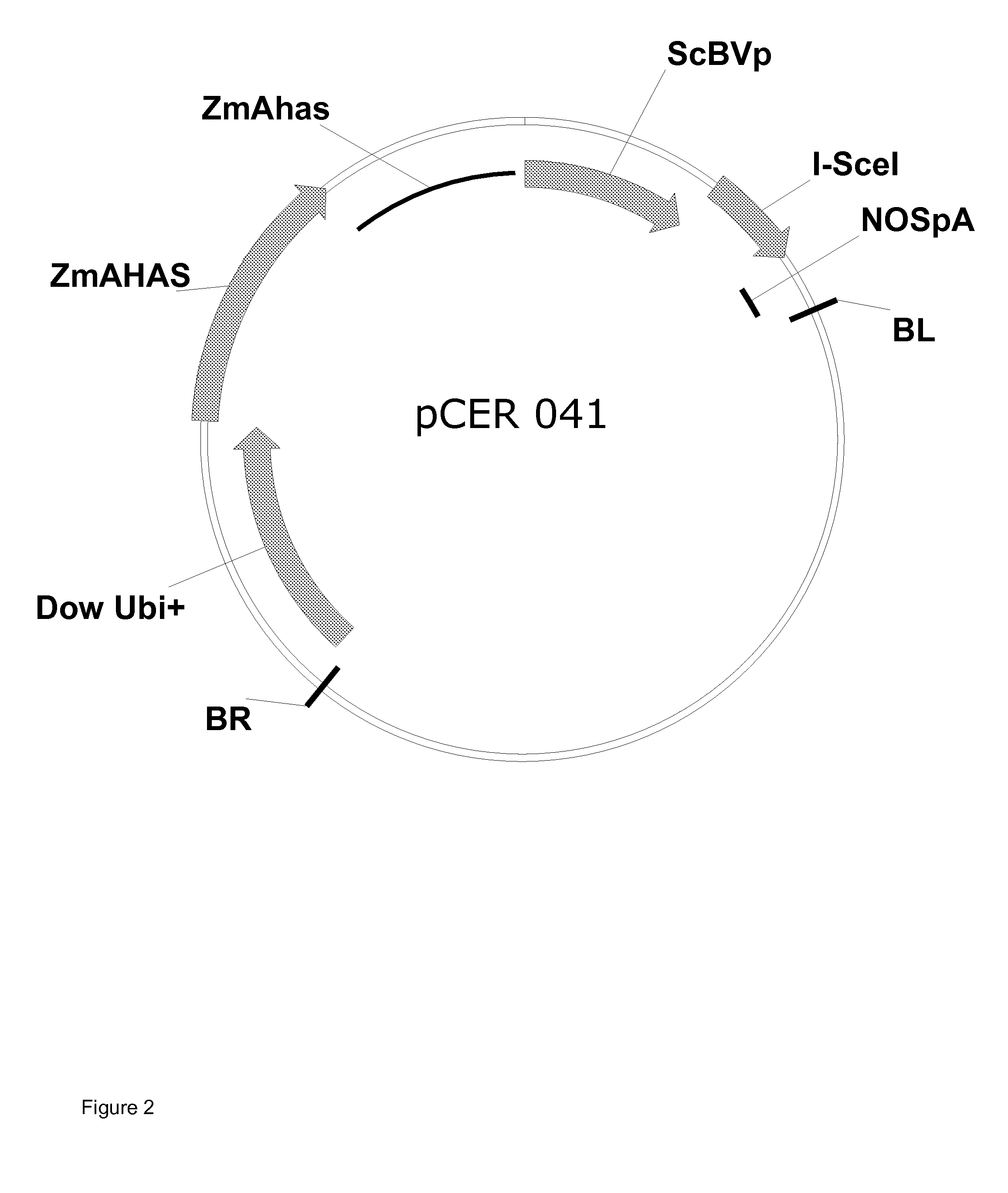 Method Of Excising A Nucleic Acid Sequence From A Plant Genome