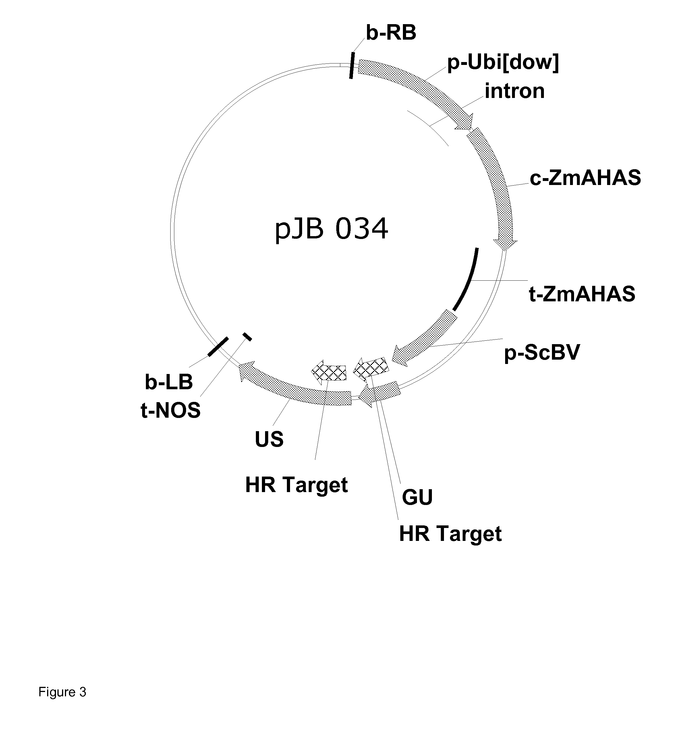 Method Of Excising A Nucleic Acid Sequence From A Plant Genome