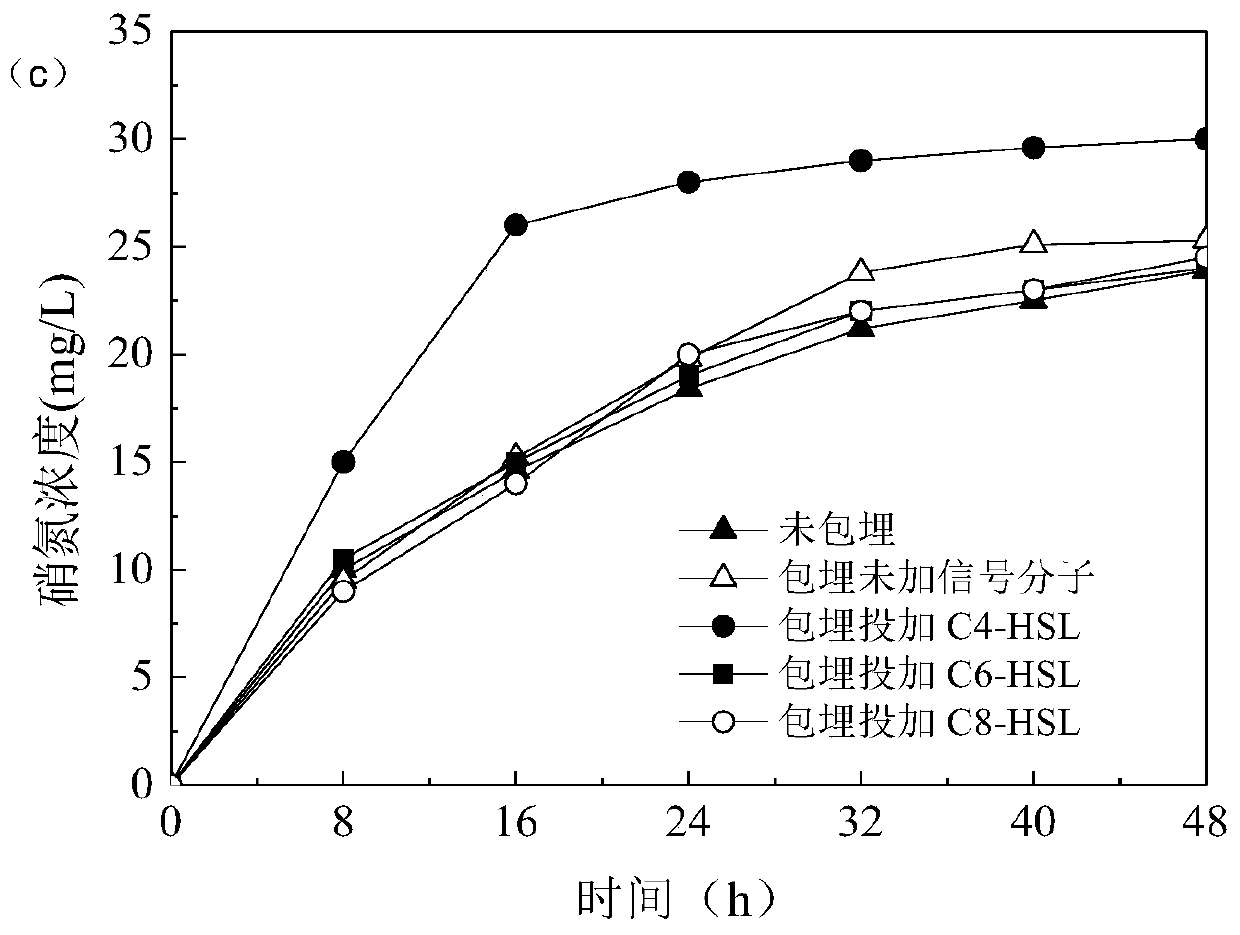 A method for improving the activity of anaerobic ammonia oxidation embedding particles