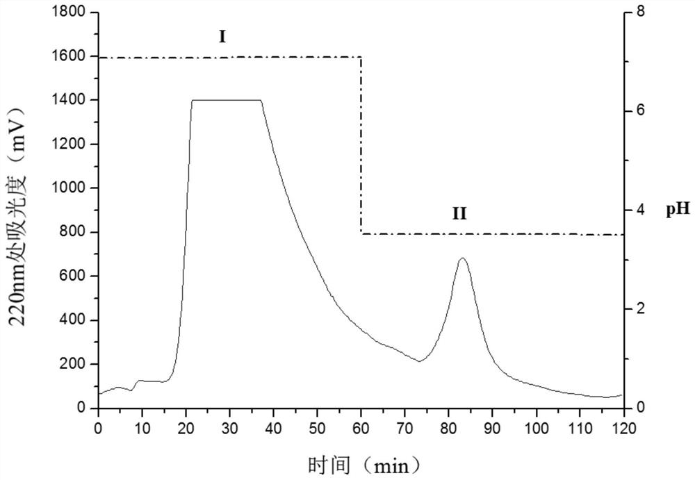 A kind of rapeseed source zinc chelating peptide and its preparation method and application