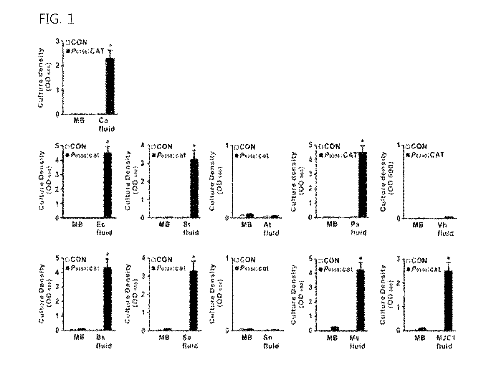 Genes encoding biofilm formation inhibitory proteins and a method for producing L-lysine using a bacterial strain with the inactivated genes