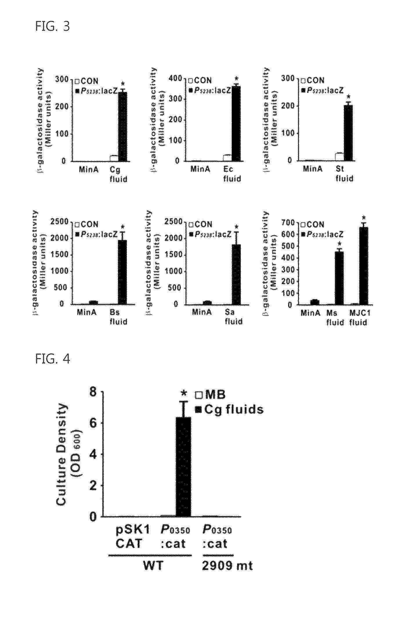 Genes encoding biofilm formation inhibitory proteins and a method for producing L-lysine using a bacterial strain with the inactivated genes