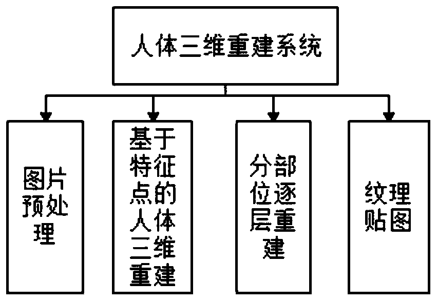 System and method for obtaining human body appearance data according to human body photo