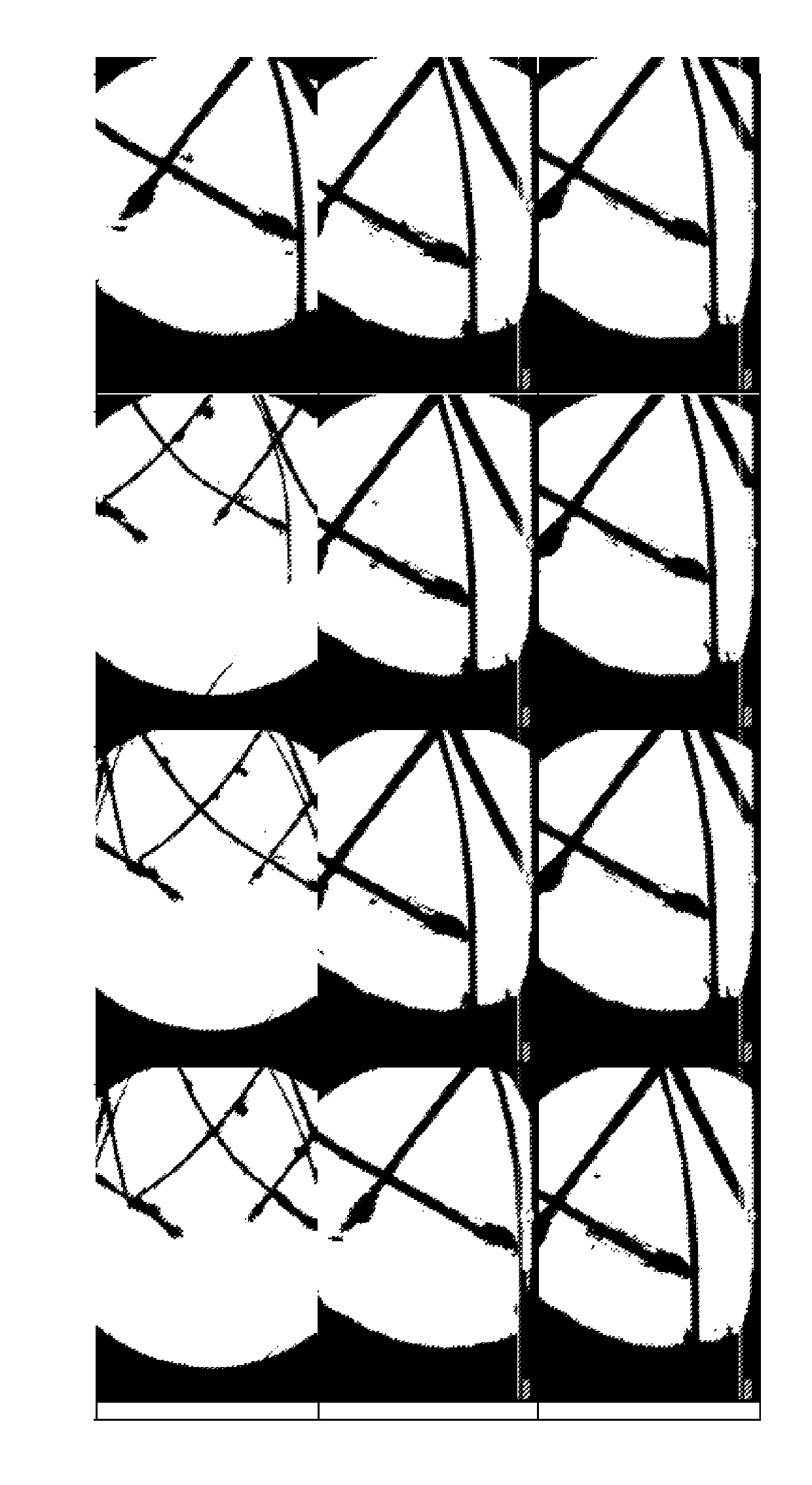 Compositions for the treatment of infections caused by mite <i>Demodex </i>spp