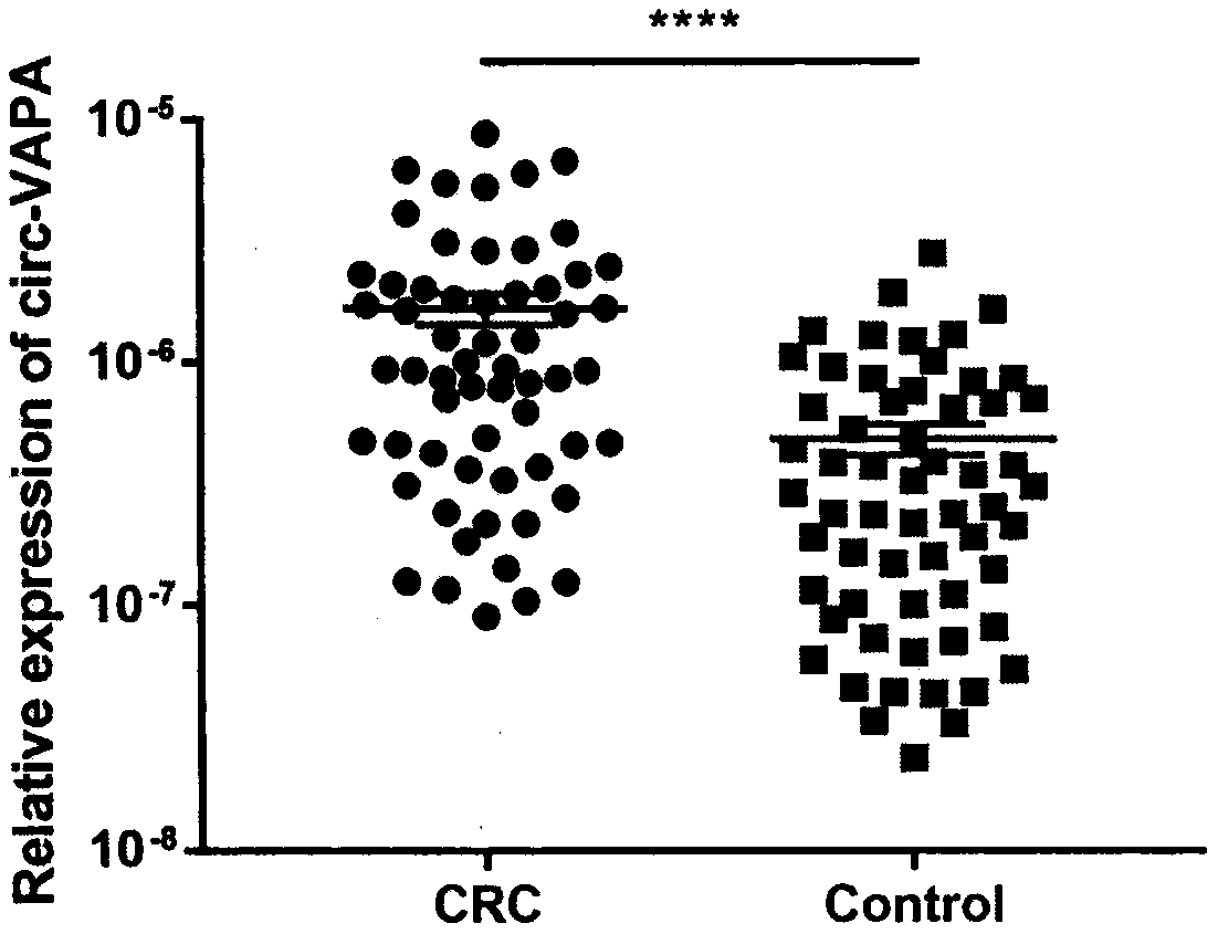 Application of circ-VAPA as gastric cancer and colorectal cancer diagnosis biomarker and treatment target point