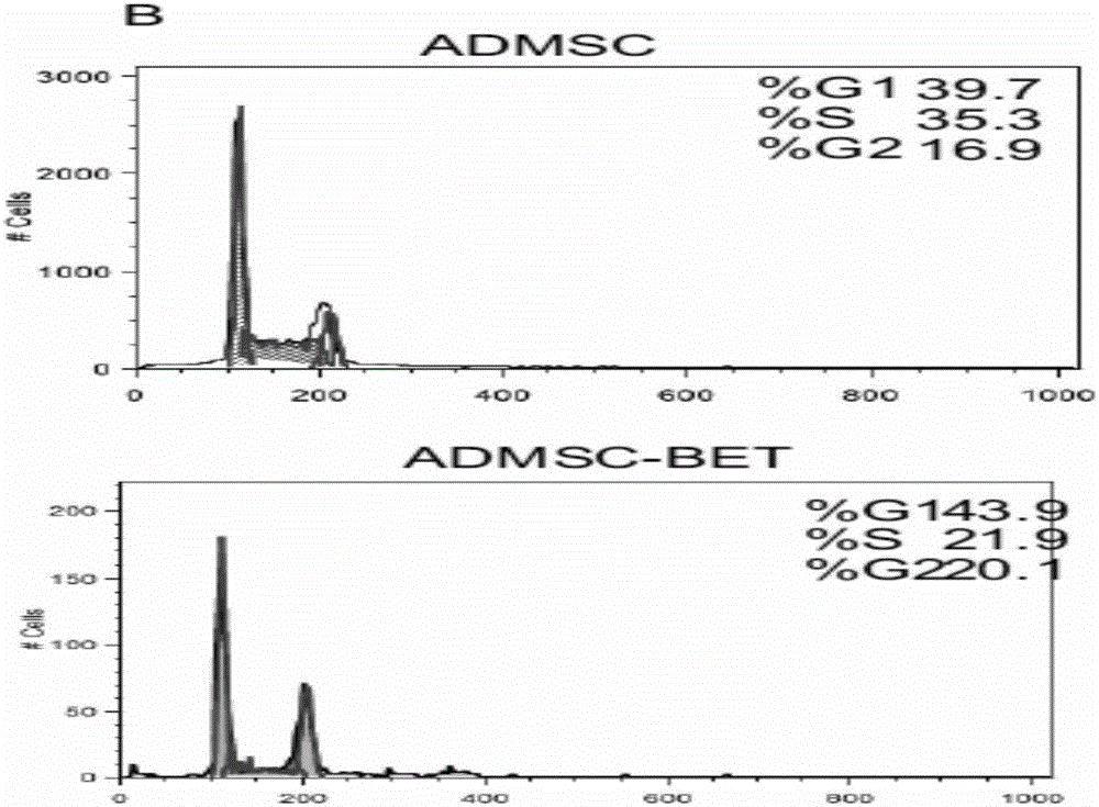 Pluripotent stem cell as well as preparation method and application thereof