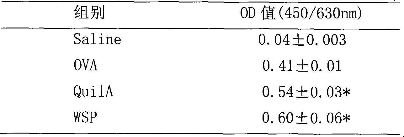 A kind of polysaccharide from the stem of brocade lantern with immune activity and its preparation method