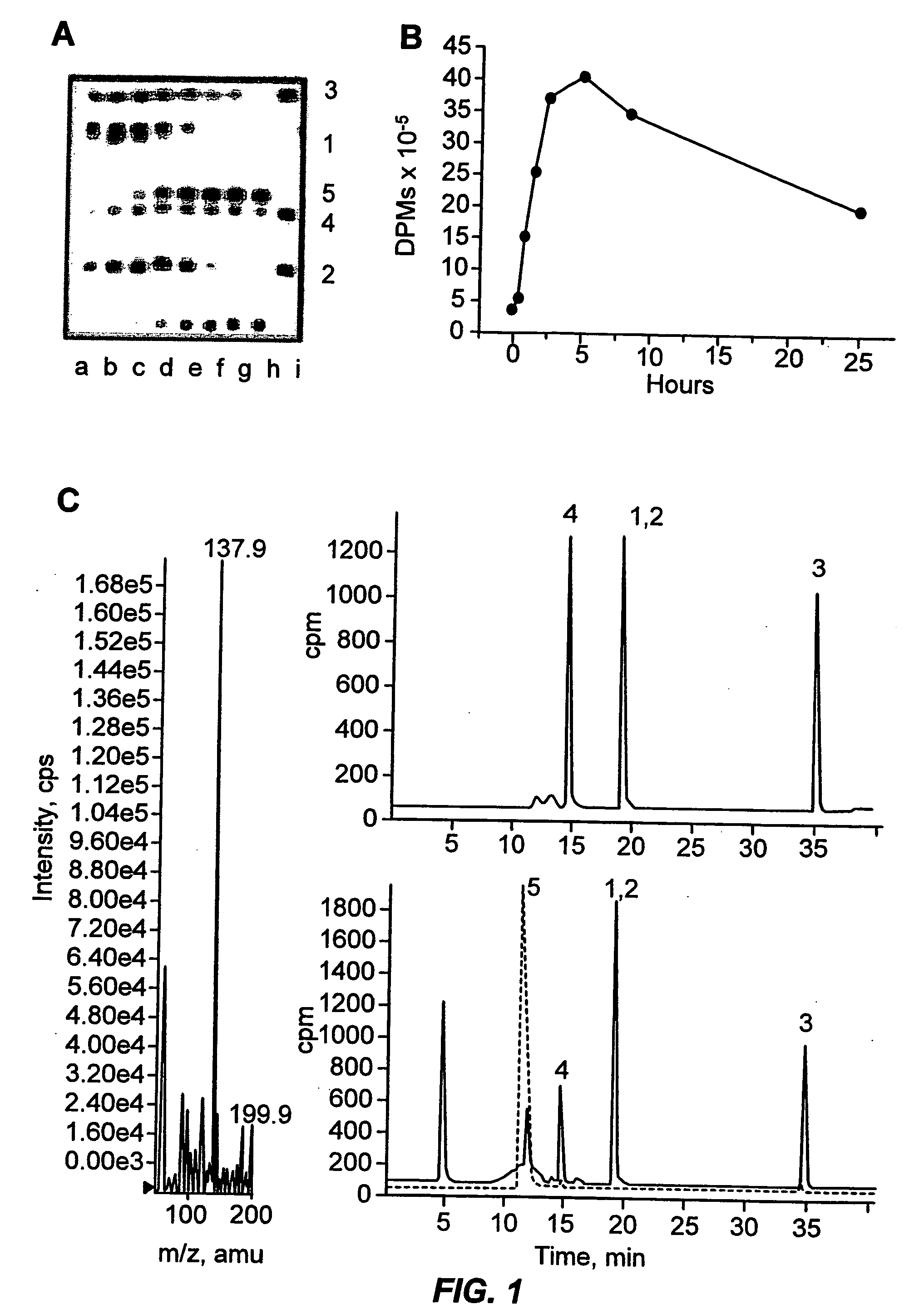 Methods of diagnosing multidrug resistant tuberculosis