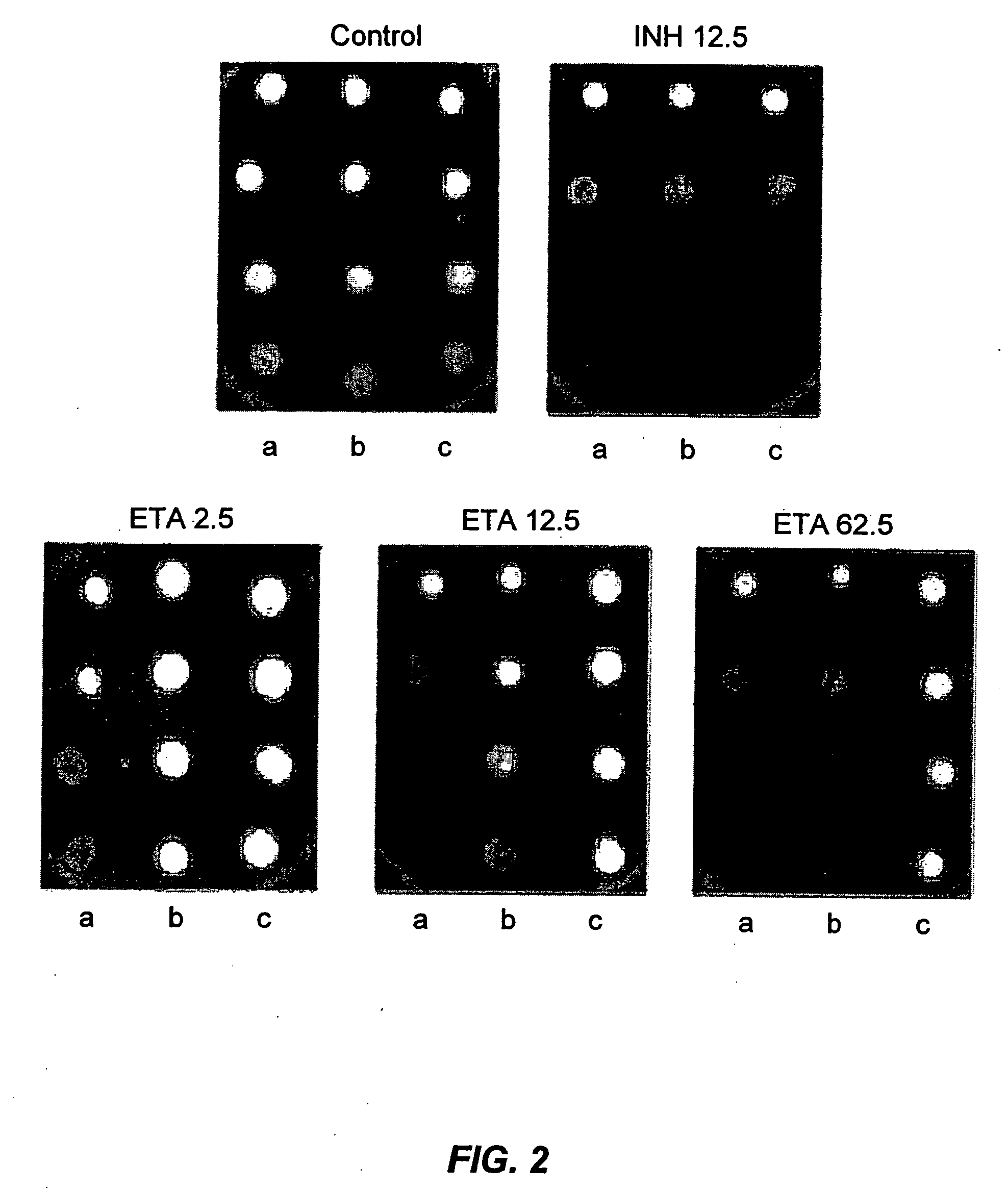 Methods of diagnosing multidrug resistant tuberculosis