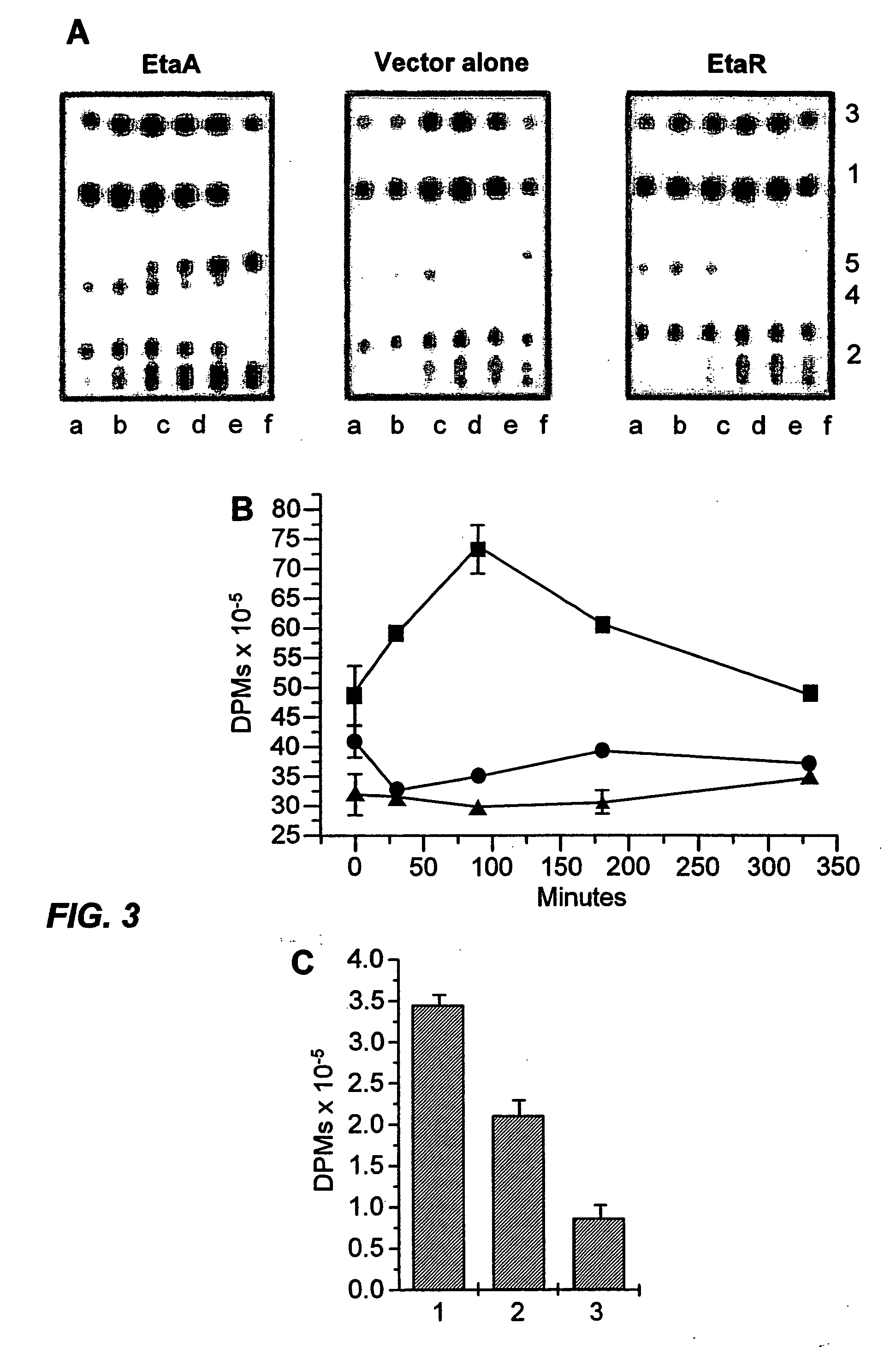 Methods of diagnosing multidrug resistant tuberculosis