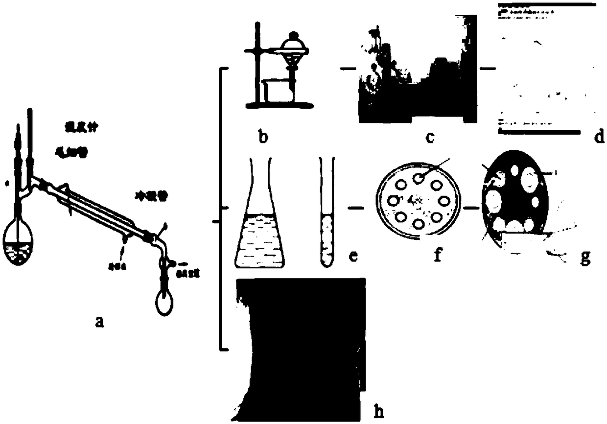 Fruit preservative containing corn straw pyroligneous acid and application thereof