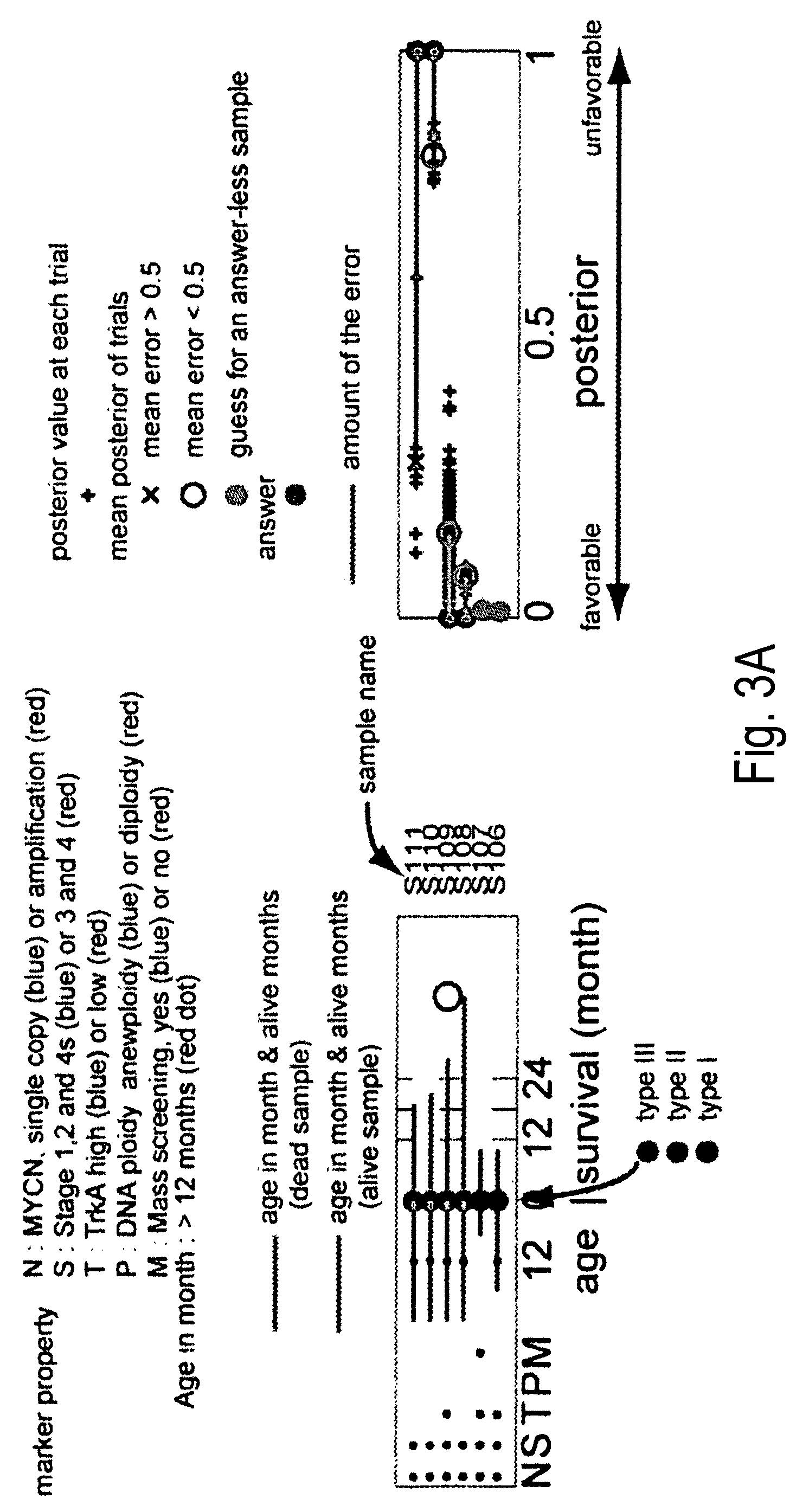 Microarray for predicting the prognosis of neuroblastoma and method for predicting the prognosis of neuroblastoma