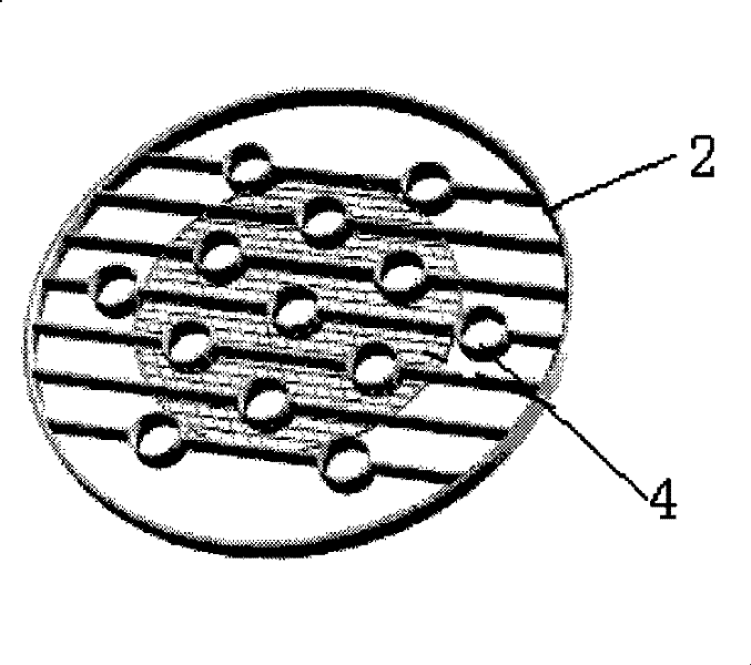 Method and device for improving flow character of gas liquid bubble column with row tubes