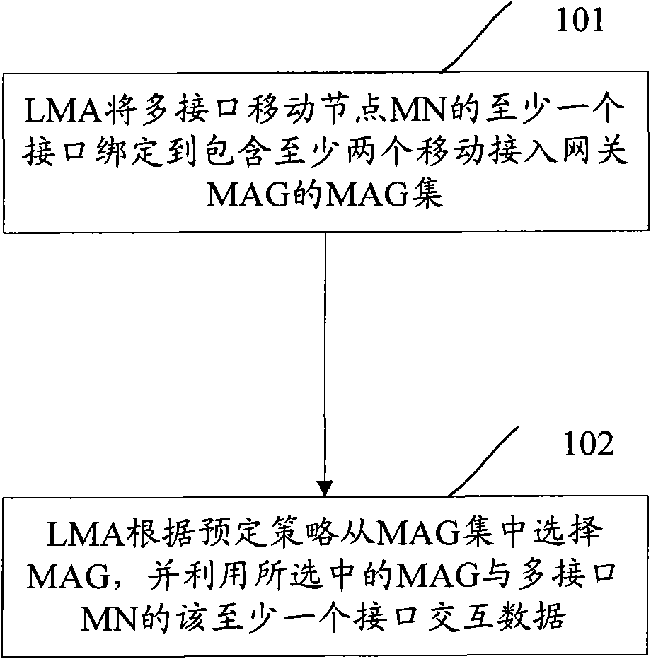 Data forwarding method, device and system in proxy mobile internet protocol version 6