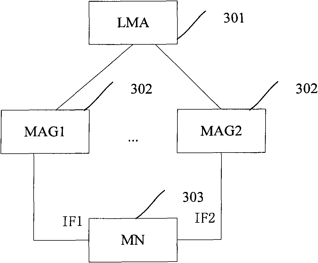 Data forwarding method, device and system in proxy mobile internet protocol version 6