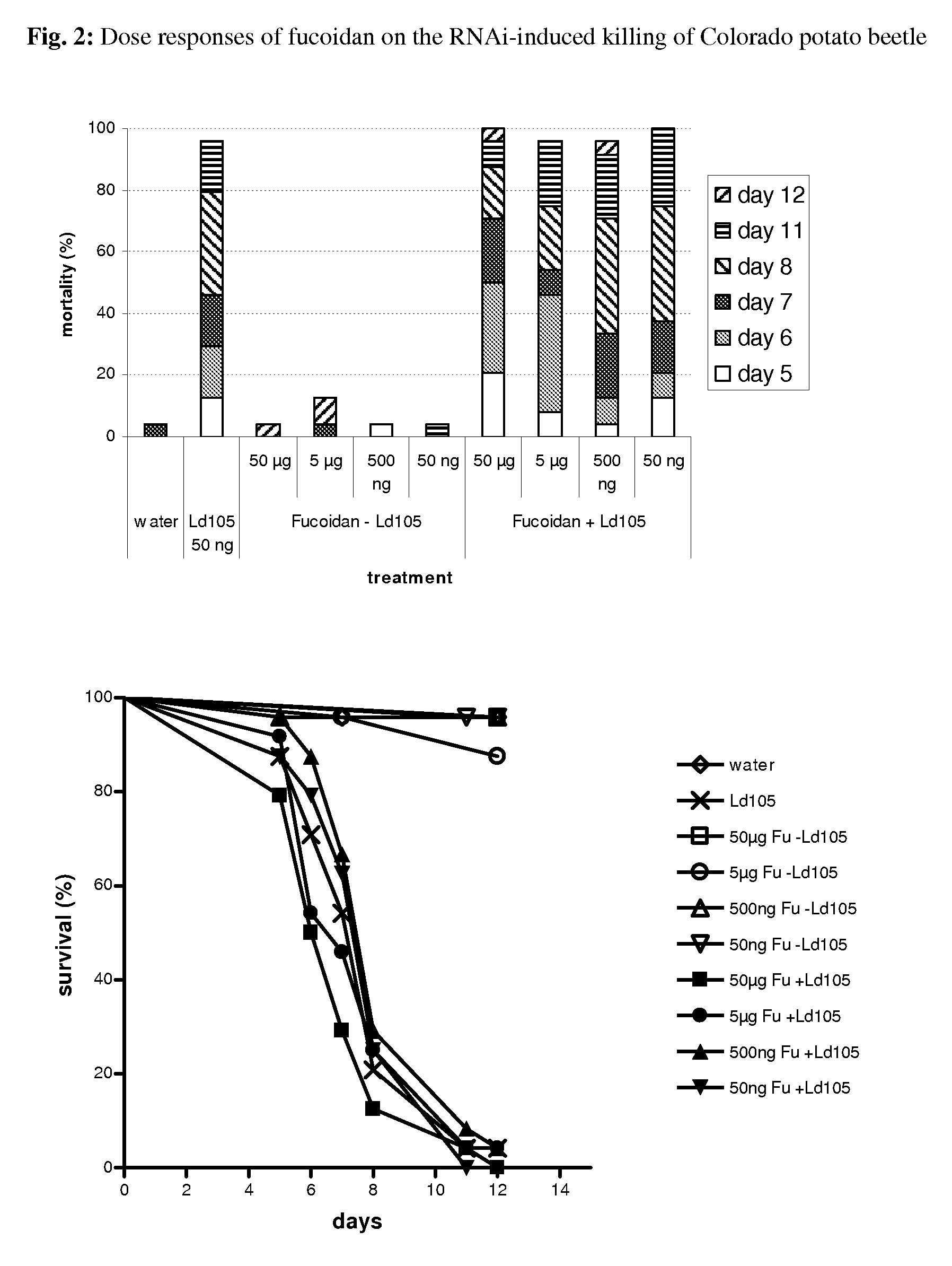 Methods and compositions for increasing RNA interference