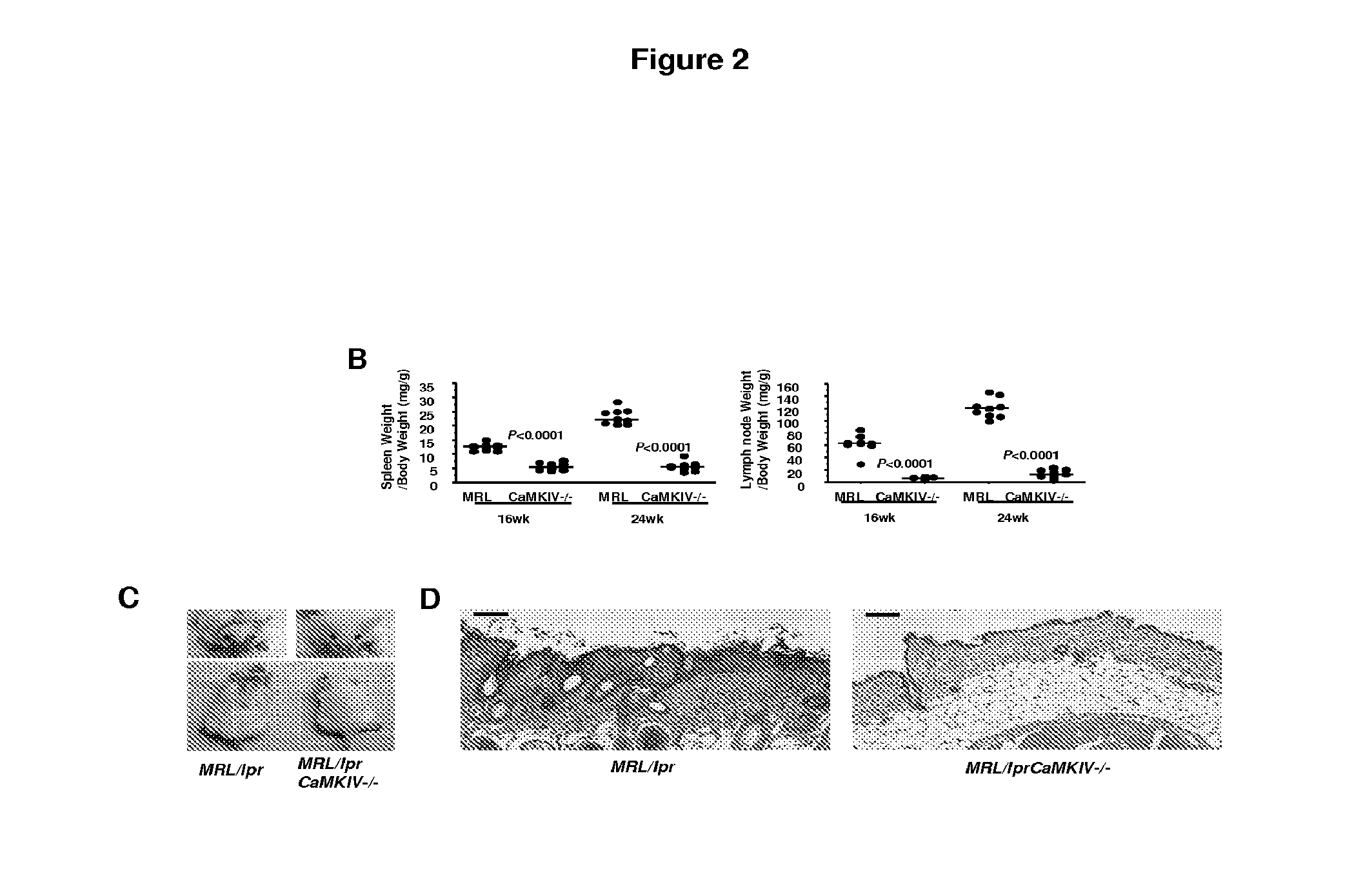 Methods for treating inflammatory autoimmune disorders