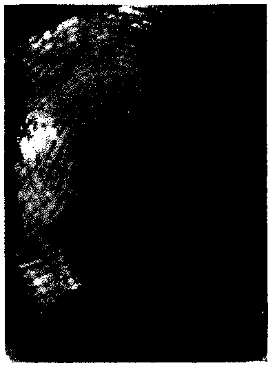 A method for extracting and displaying protein components in latent fingerprints