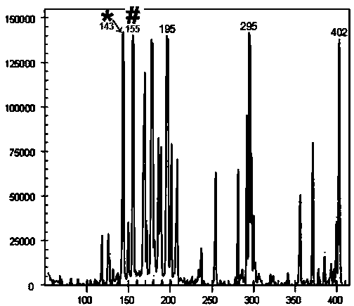 Method for identifying Qianshan No.1, new variety of Erigeron Breviscapus (Vant.)Hand.-Mazz. by utilizing AFLP (amplified fragment length polymorphism)-CE (capillary electrophoresis) technique