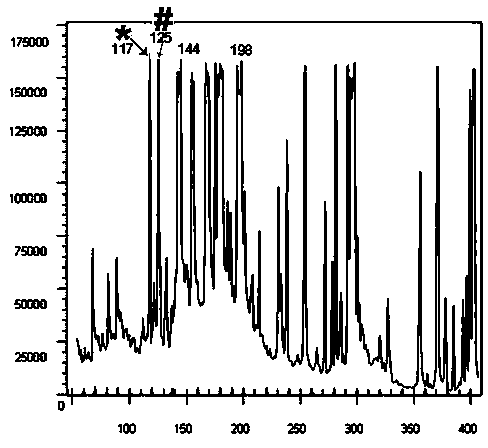 Method for identifying Qianshan No.1, new variety of Erigeron Breviscapus (Vant.)Hand.-Mazz. by utilizing AFLP (amplified fragment length polymorphism)-CE (capillary electrophoresis) technique